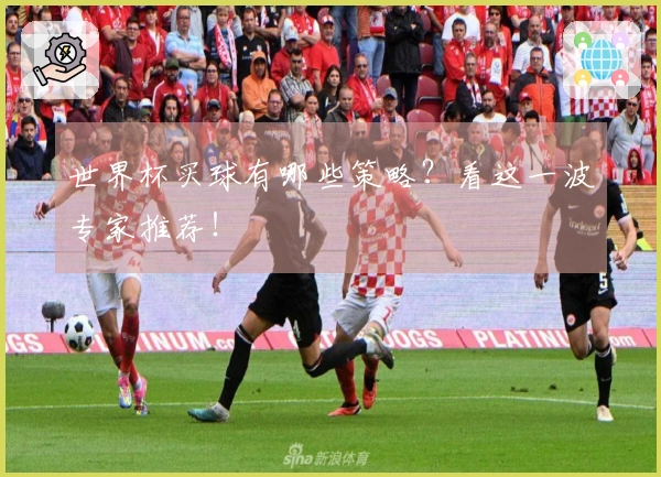 世界杯买球有哪些策略？看这一波专家推荐！