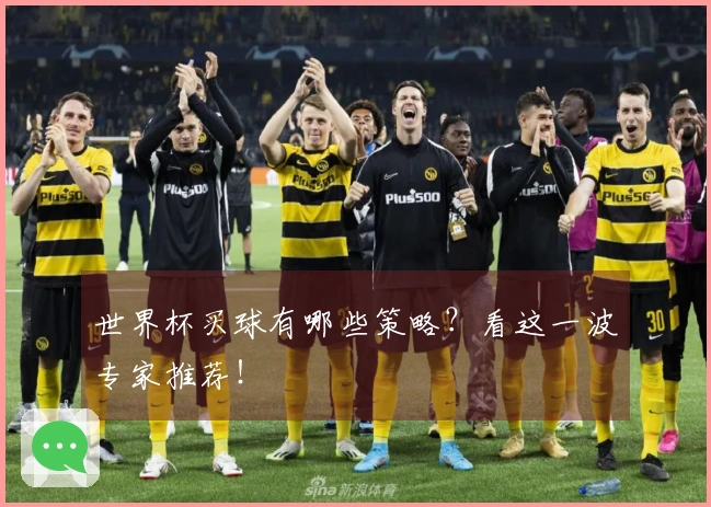 世界杯买球有哪些策略？看这一波专家推荐！