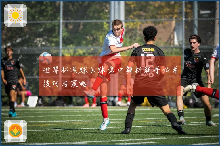 世界杯滚球买球盘口解析新手必看技巧与策略