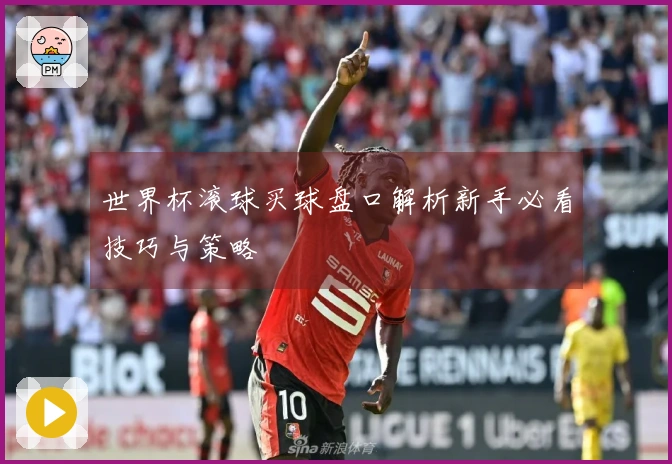 世界杯滚球买球盘口解析新手必看技巧与策略