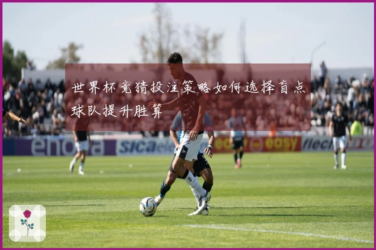 世界杯竞猜投注策略如何选择盲点球队提升胜算