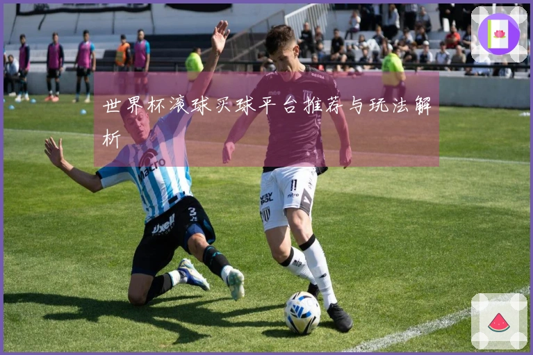 世界杯滚球买球平台推荐与玩法解析