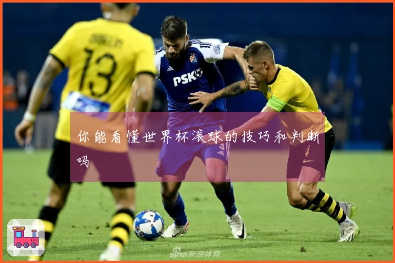 你能看懂世界杯滚球的技巧和判断吗