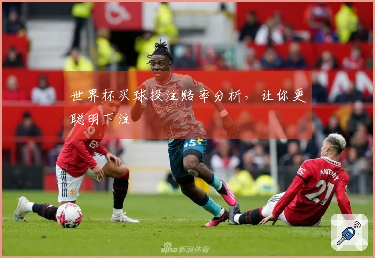 世界杯买球投注赔率分析，让你更聪明下注