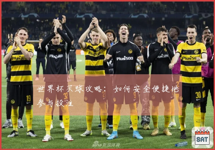 世界杯买球攻略：如何安全便捷地参与投注
