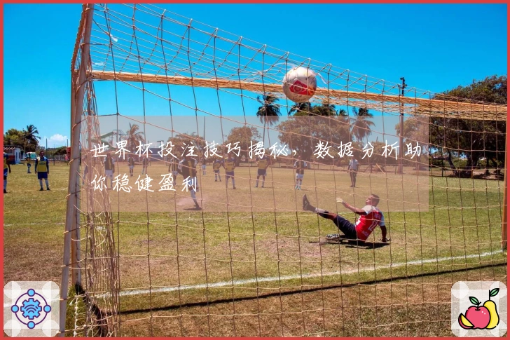 世界杯投注技巧揭秘，数据分析助你稳健盈利