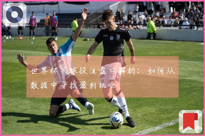 世界杯买球投注盘口解析：如何从数据中寻找盈利机会